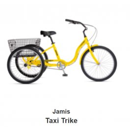 Jamis Taxi Trike