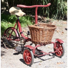 Triang Juvenile Carrier Tricycle