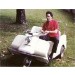 1967 Harley Davidson Golf cart owned by Elvis Presley for getting around the grounds at Gracelands.  (Photo from Live Auctioneers web site)